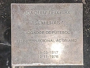 Teixeira, Joaquim (Gasogenio) (id=8021)